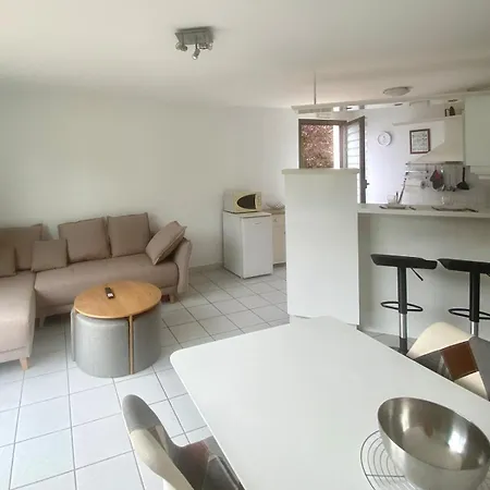 Apartament Piscine - Quartier Toison D'or