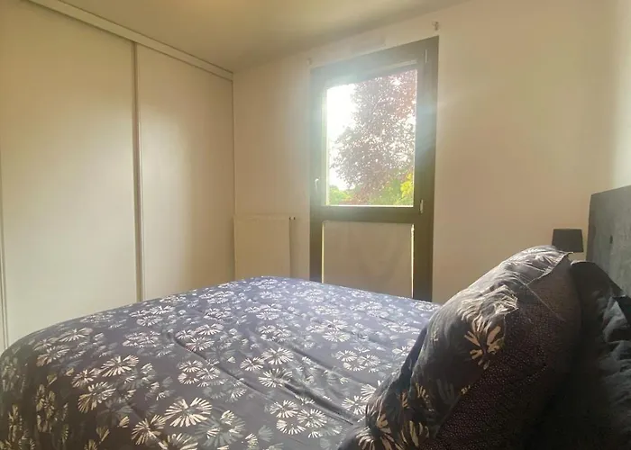 アパート Piscine - Quartier Toison D'or ディジョン